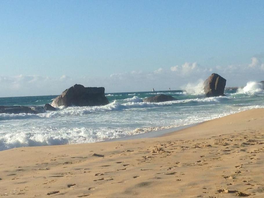 Cap Ocean-Studio Capbreton Exterior photo